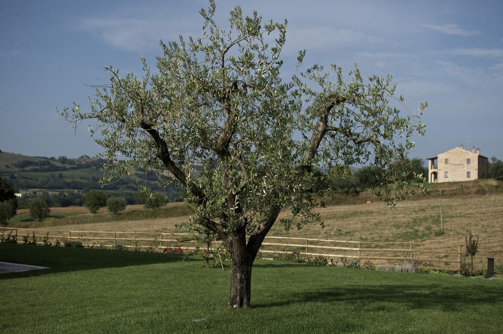 Moresco Agriturismo ภายนอก รูปภาพ