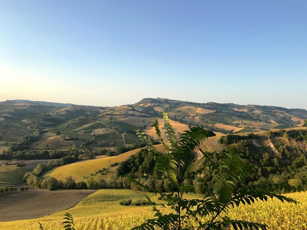 Moresco Agriturismo ภายนอก รูปภาพ