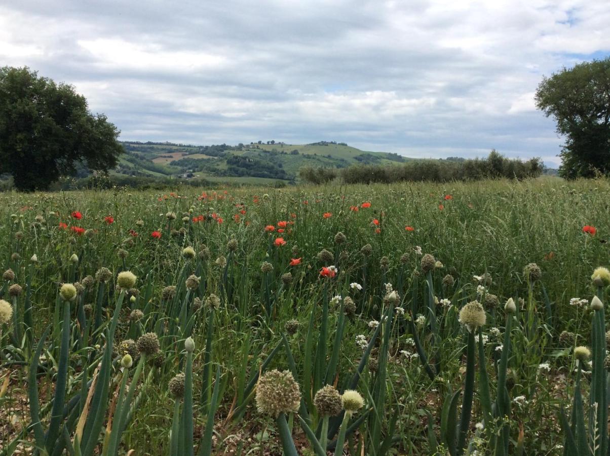 Moresco Agriturismo ภายนอก รูปภาพ